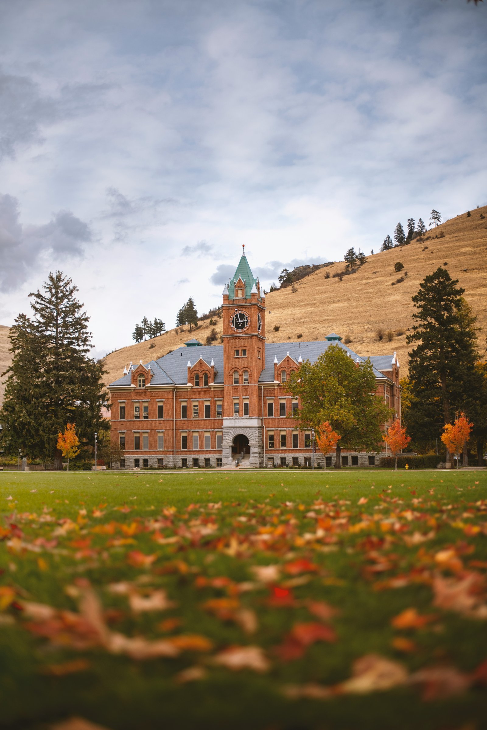 A campus clock tower against autumn leaves